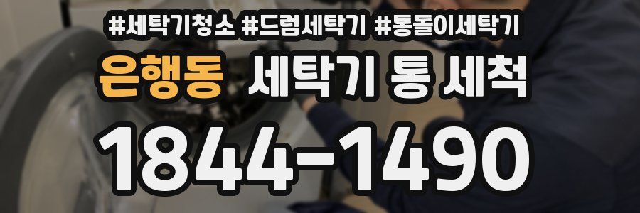 은행동 세탁기 통 세척