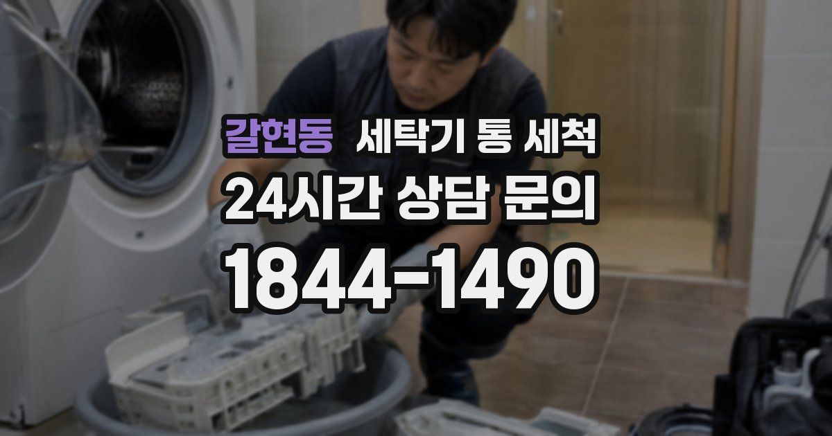 갈현동 세탁기 통 세척
