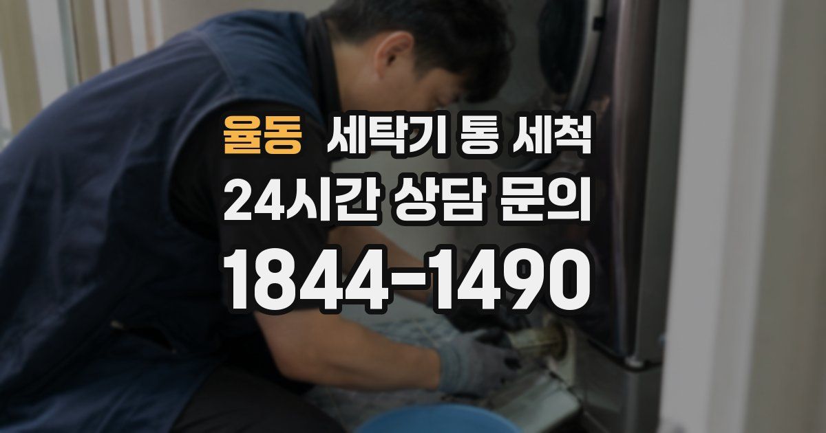 율동 세탁기 통 세척
