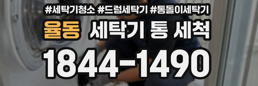 율동 세탁기 통 세척