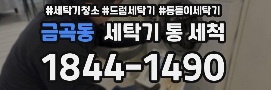 금곡동 세탁기 통 세척