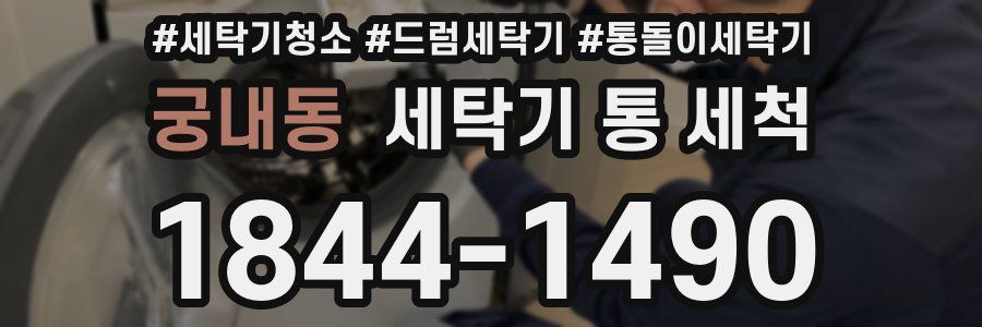 궁내동 세탁기 통 세척