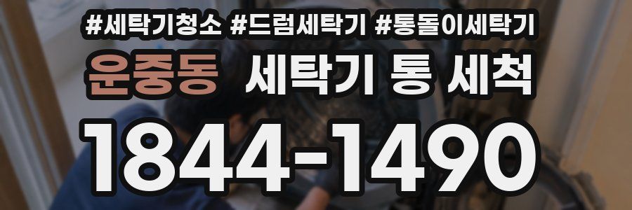 운중동 세탁기 통 세척
