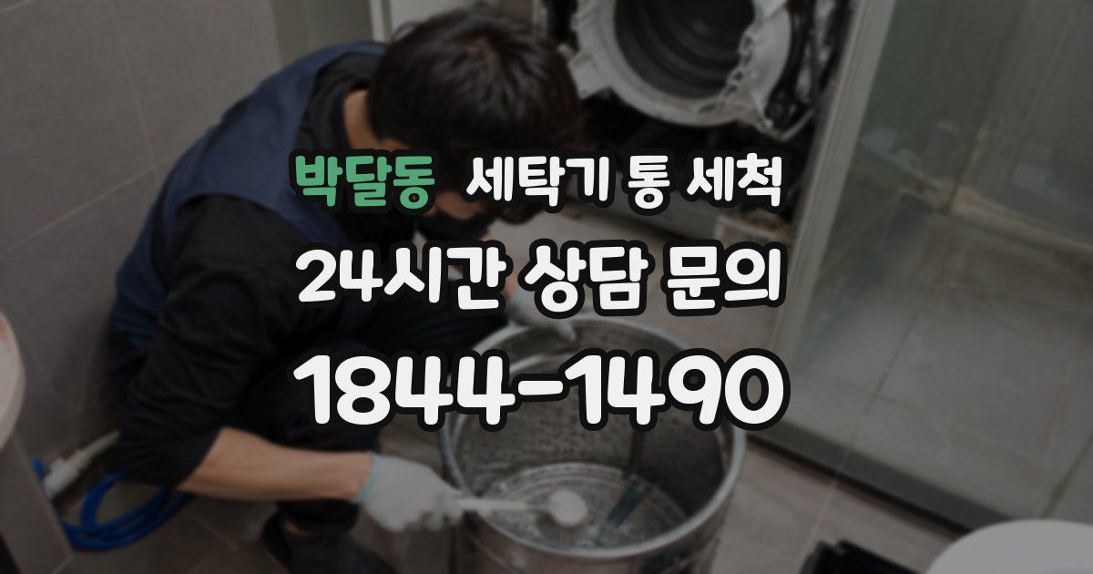 박달동 세탁기 통 세척