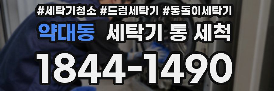 약대동 세탁기 통 세척