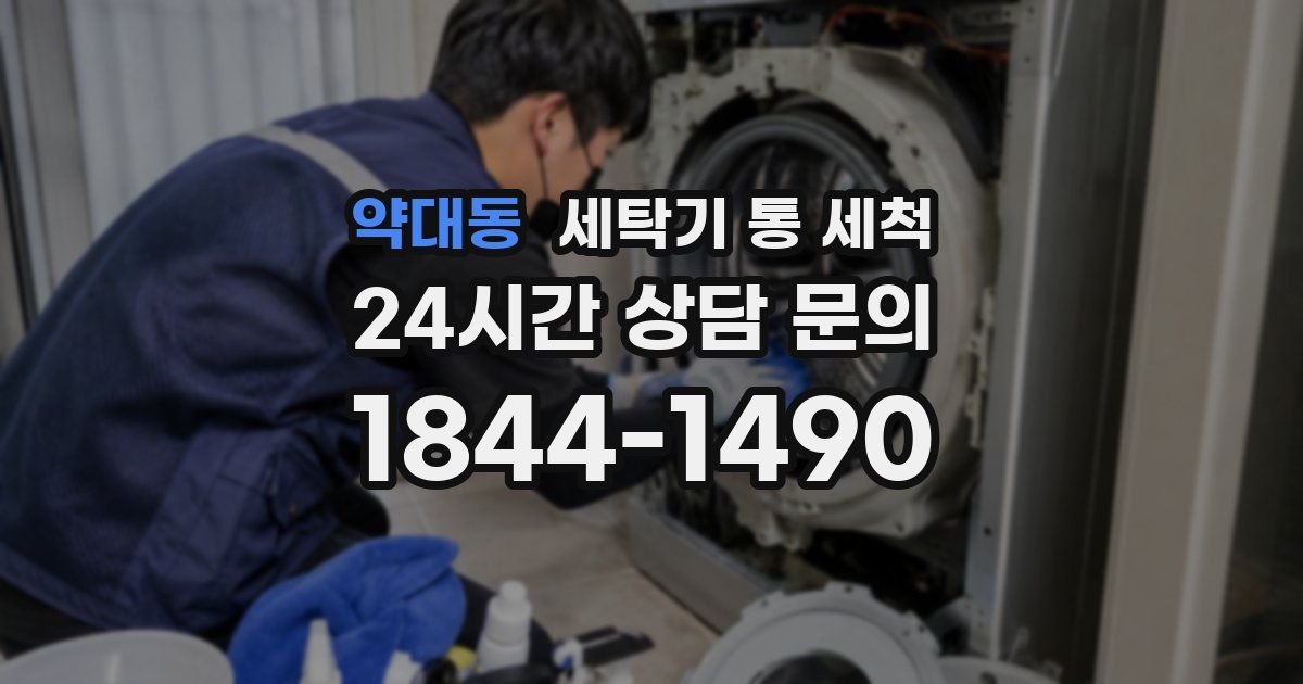 약대동 세탁기 통 세척