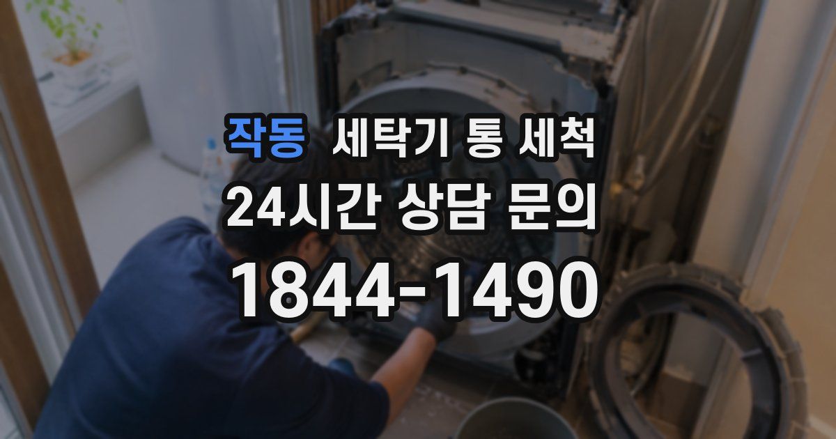 작동 세탁기 통 세척