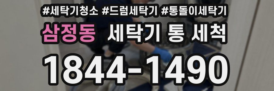 삼정동 세탁기 통 세척