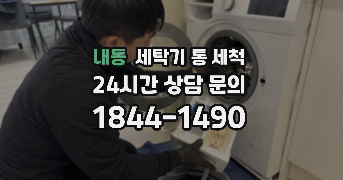 내동 세탁기 통 세척