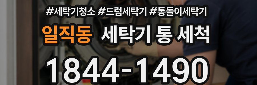 일직동 세탁기 통 세척