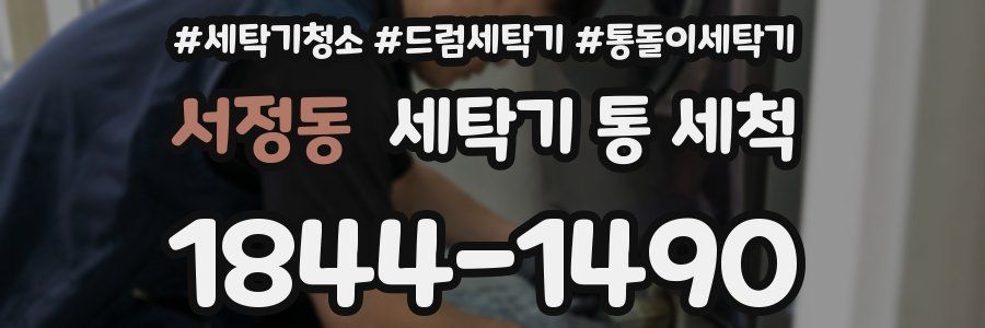서정동 세탁기 통 세척