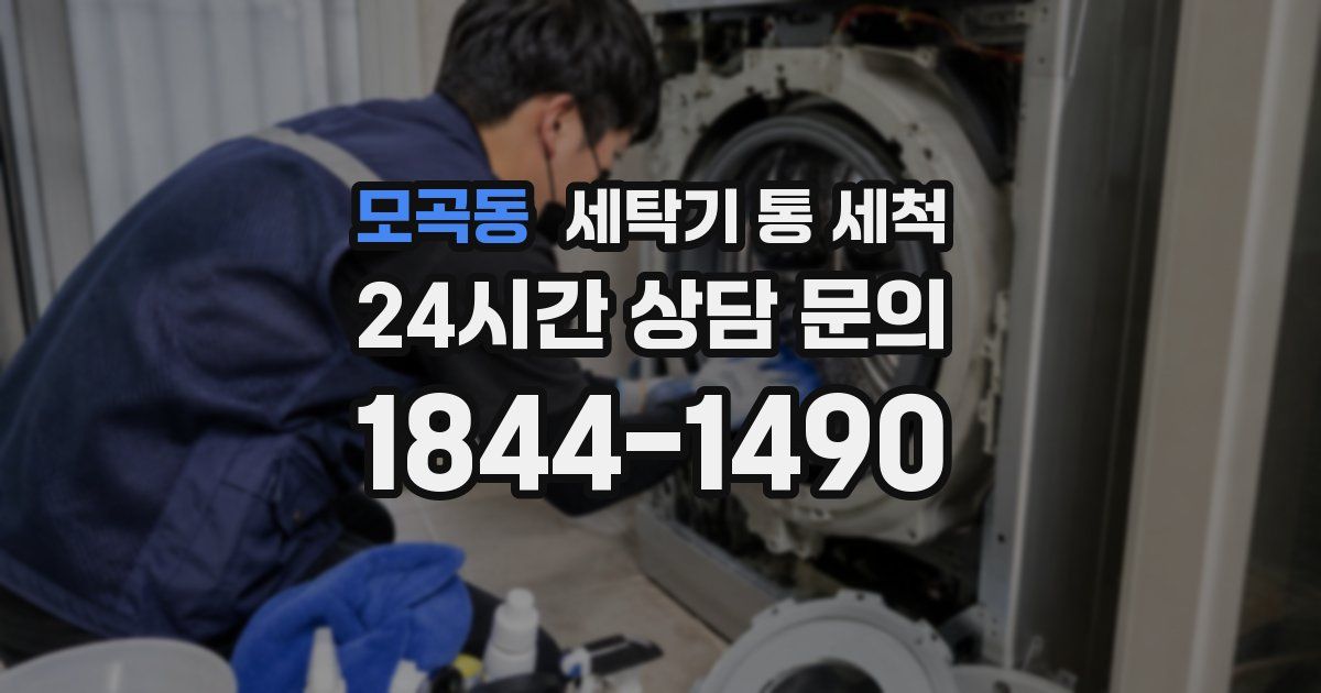 모곡동 세탁기 통 세척