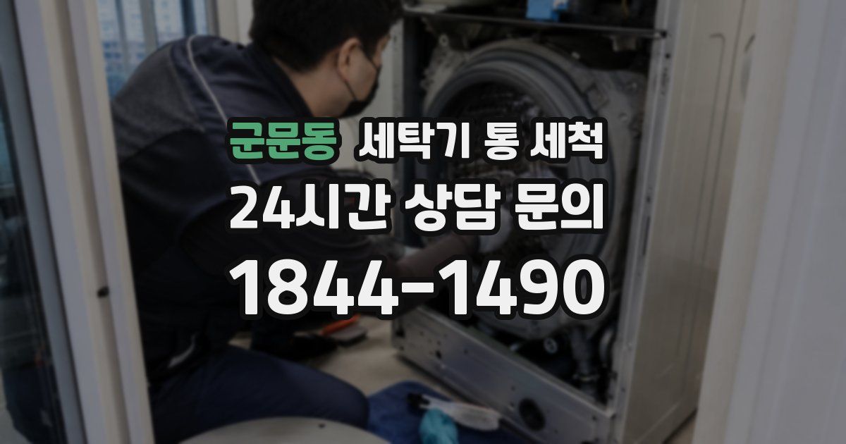 군문동 세탁기 통 세척