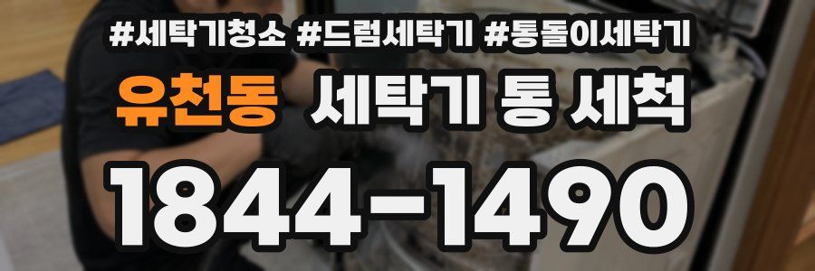 유천동 세탁기 통 세척
