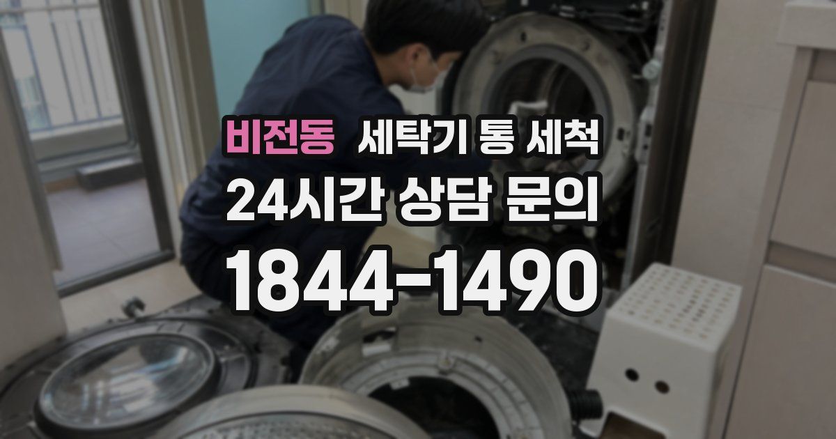 비전동 세탁기 통 세척