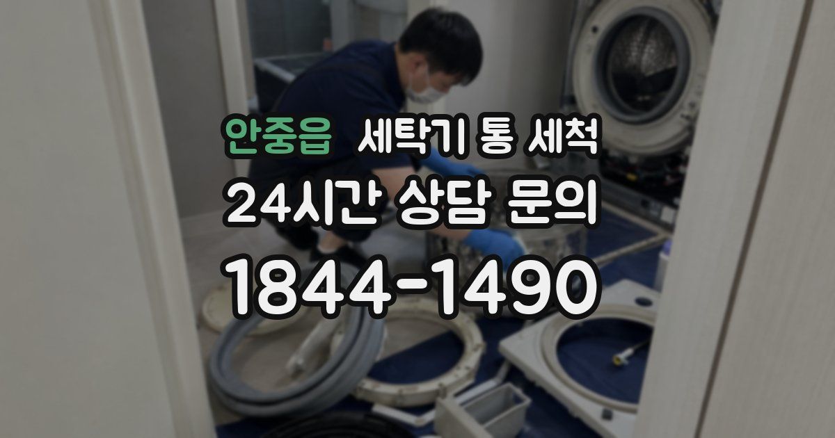 안중읍 세탁기 통 세척