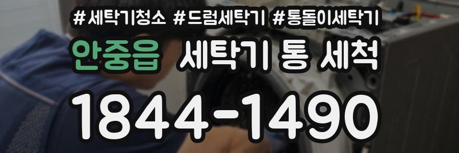 안중읍 세탁기 통 세척
