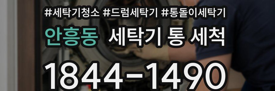 안흥동 세탁기 통 세척