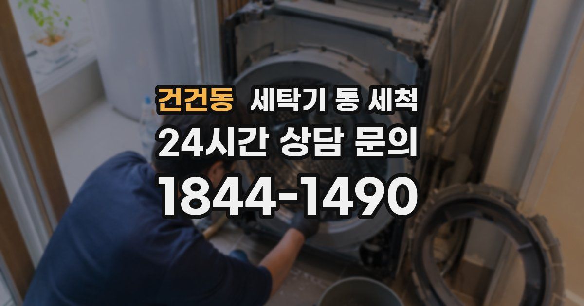건건동 세탁기 통 세척