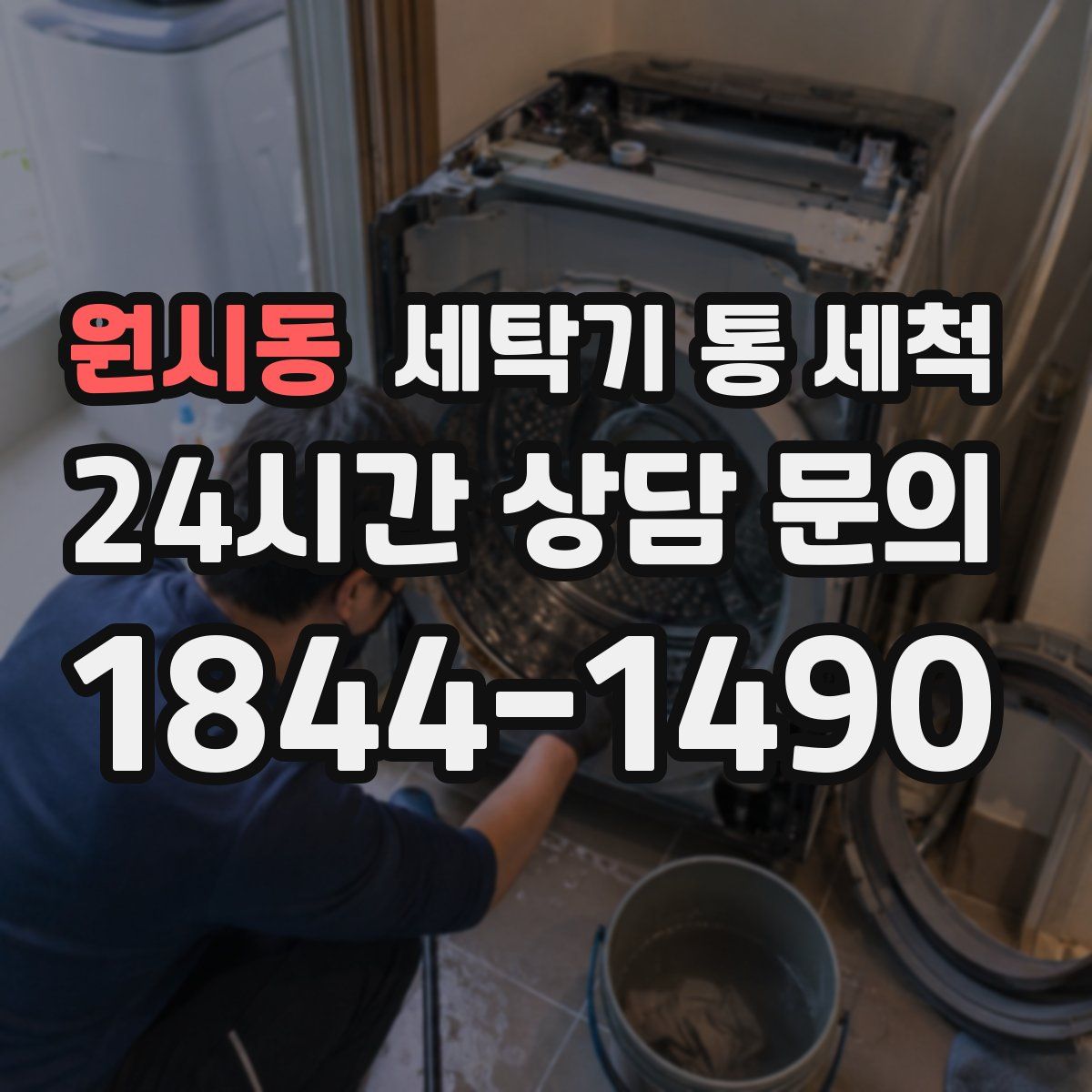 원시동 세탁기 통 세척