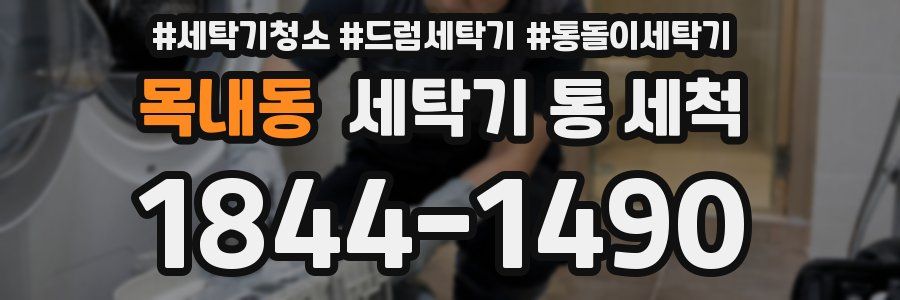 목내동 세탁기 통 세척