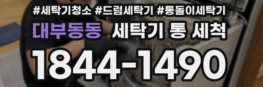 대부동동 세탁기 통 세척