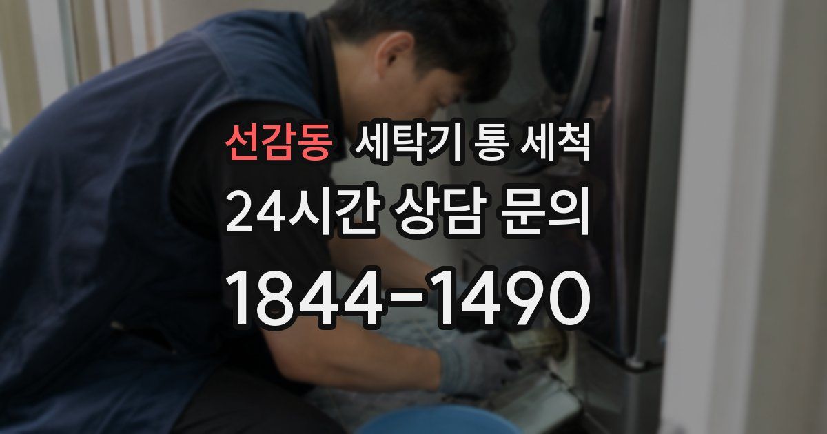 선감동 세탁기 통 세척