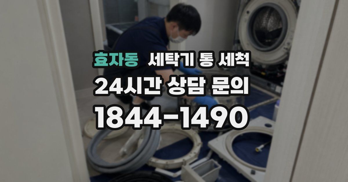 효자동 세탁기 통 세척