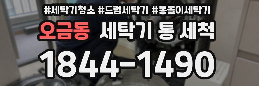 오금동 세탁기 통 세척