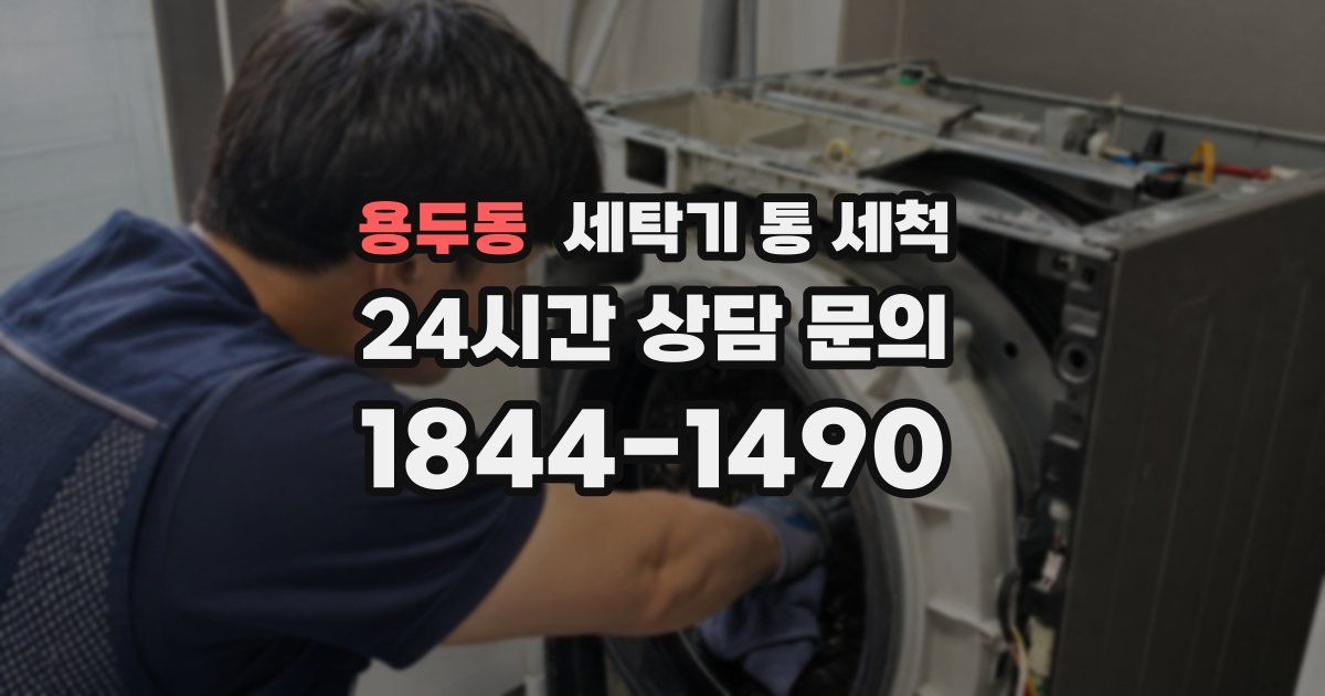 용두동 세탁기 통 세척