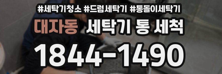 대자동 세탁기 통 세척