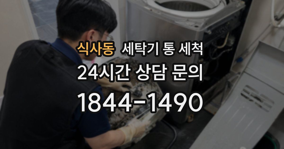 식사동 세탁기 통 세척