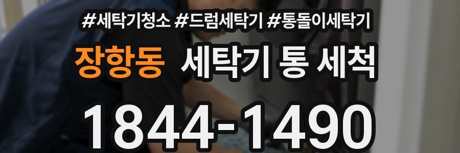 장항동 세탁기 통 세척