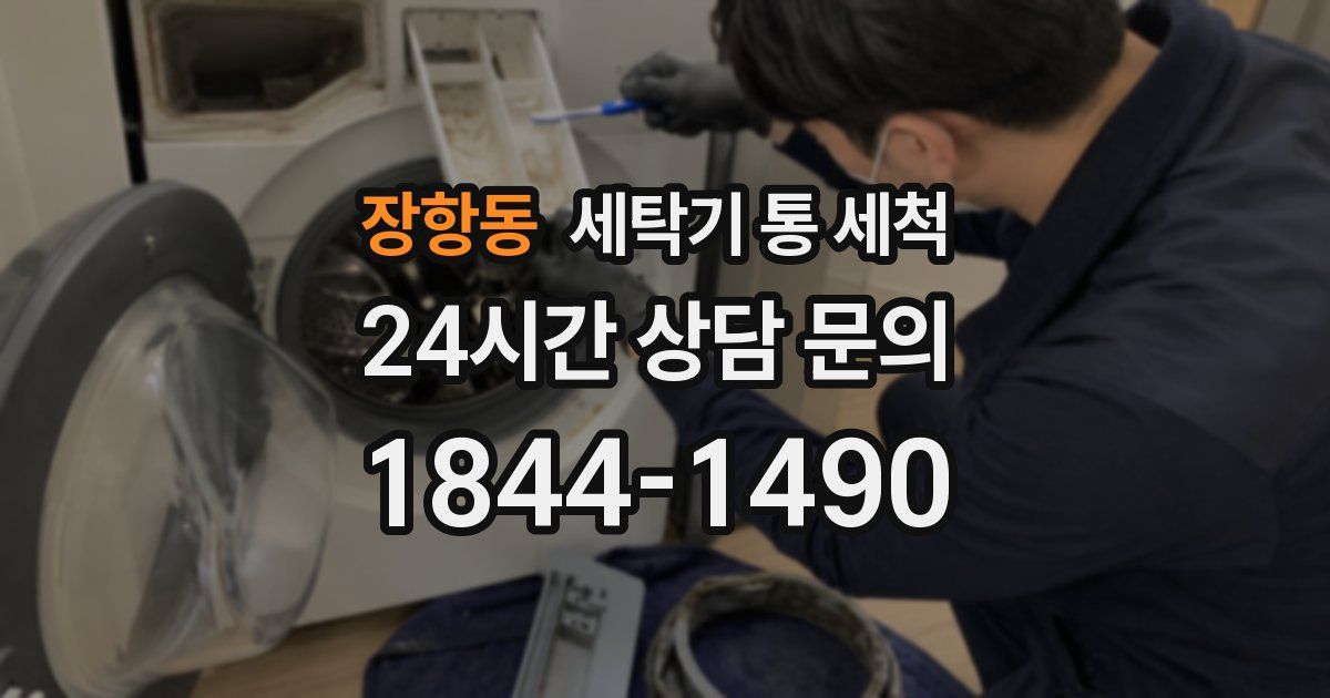 장항동 세탁기 통 세척
