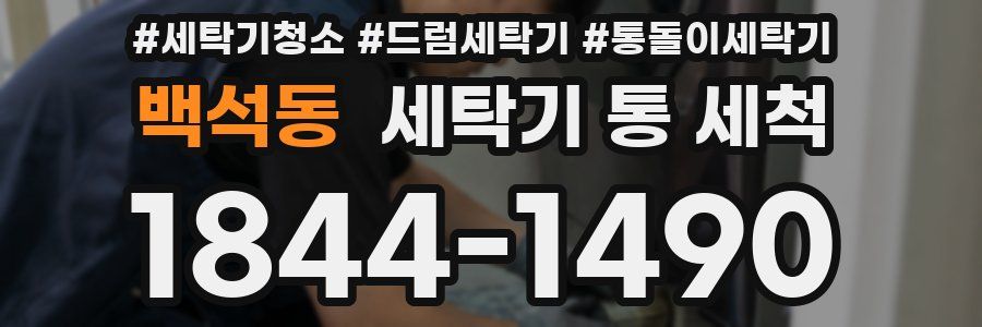 백석동 세탁기 통 세척