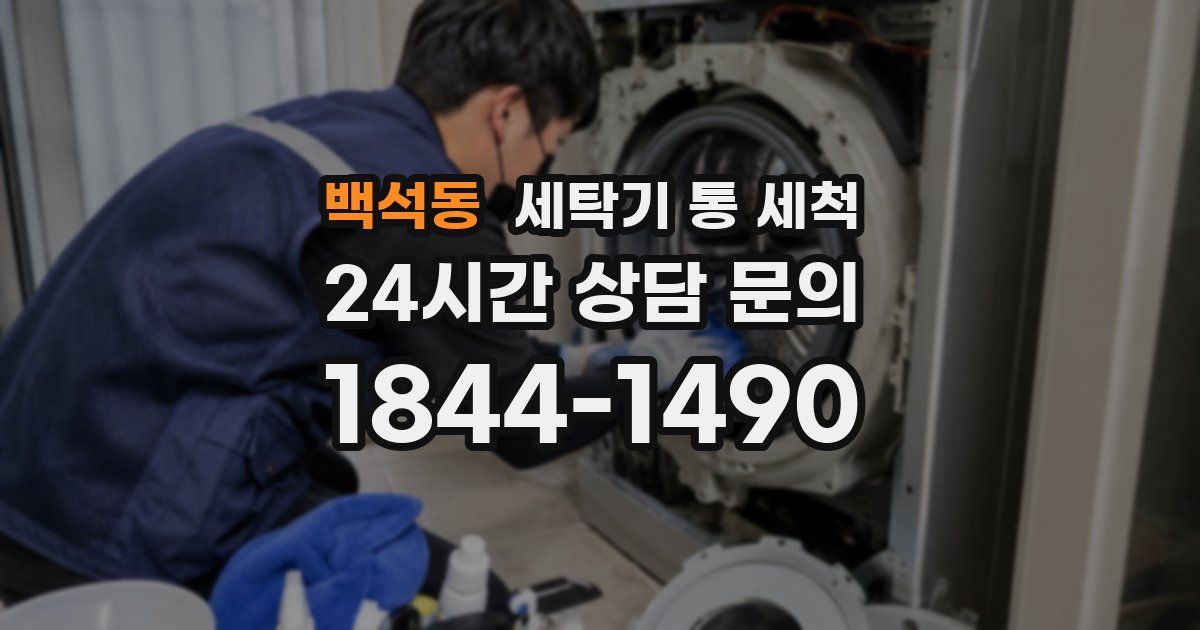 백석동 세탁기 통 세척