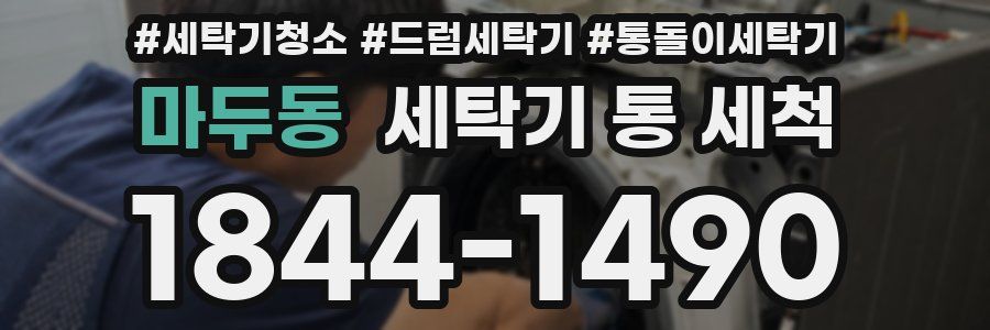 마두동 세탁기 통 세척