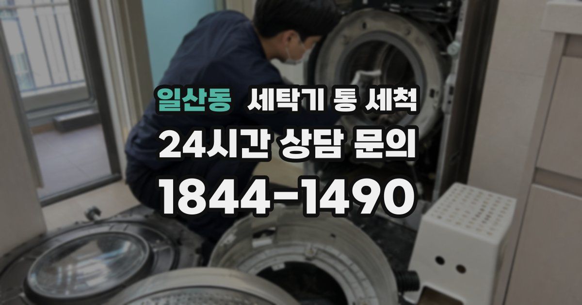 일산동 세탁기 통 세척