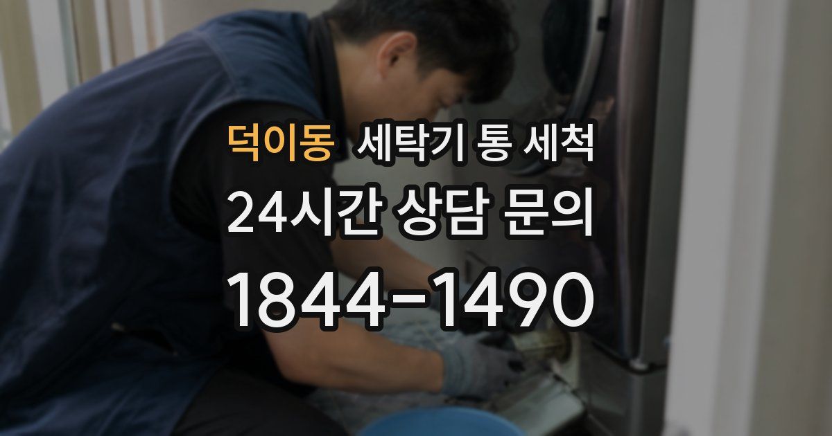 덕이동 세탁기 통 세척