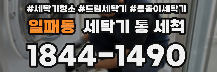 일패동 세탁기 통 세척
