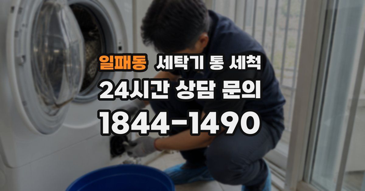 일패동 세탁기 통 세척