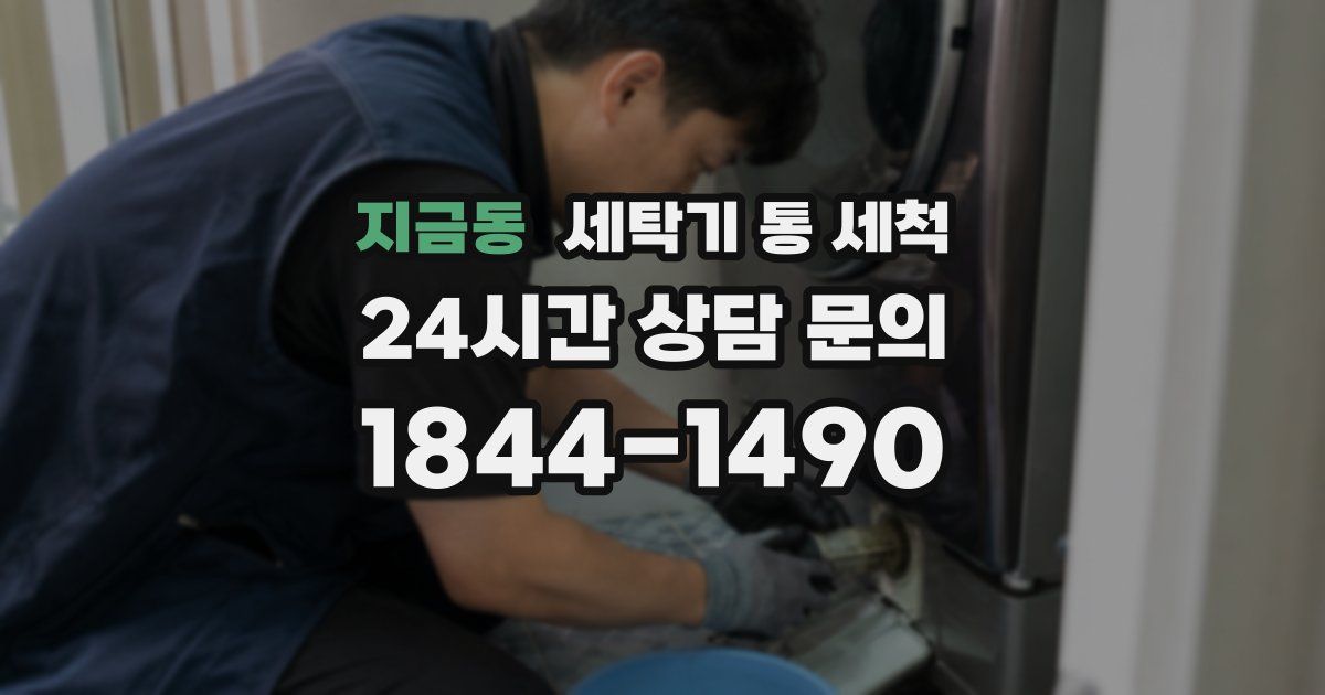 지금동 세탁기 통 세척