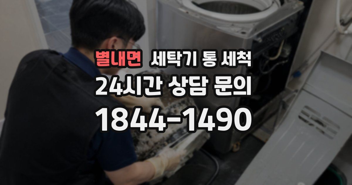 별내면 세탁기 통 세척