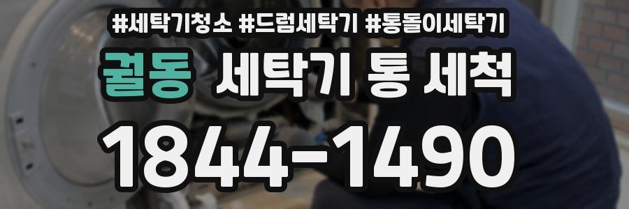 궐동 세탁기 통 세척
