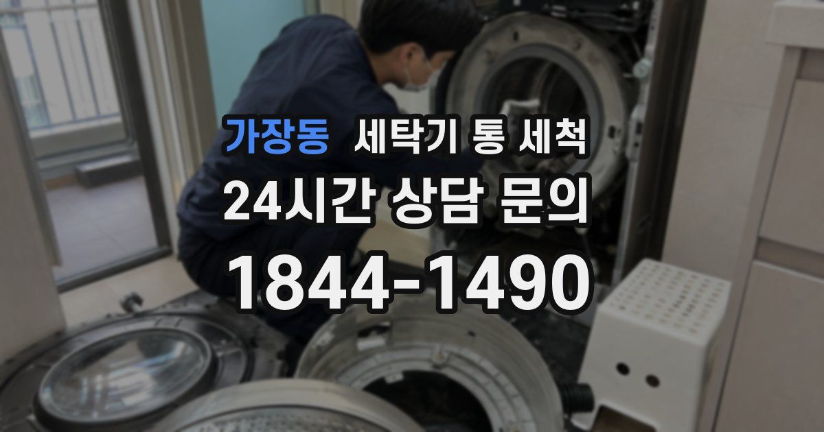 가장동 세탁기 통 세척