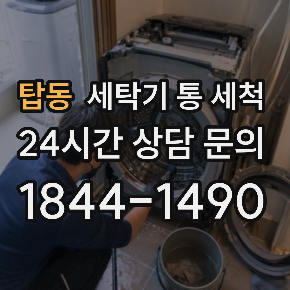 탑동 세탁기 통 세척