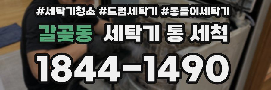 갈곶동 세탁기 통 세척