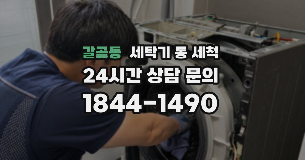 갈곶동 세탁기 통 세척