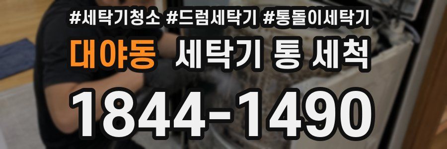 대야동 세탁기 통 세척