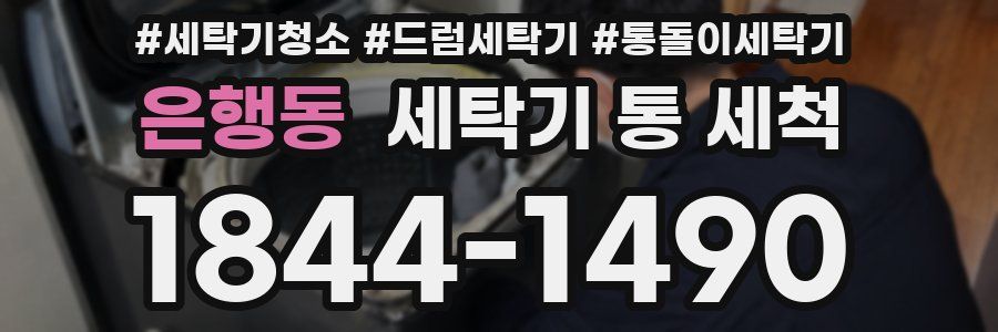 은행동 세탁기 통 세척